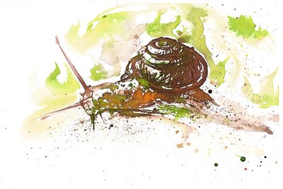 Šnek, 2025 (inkoust) od Neale Osborne