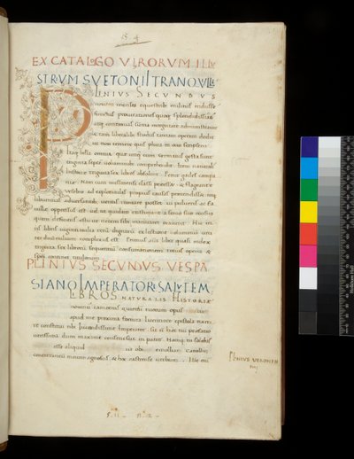 Paní 394,1. Plinius starší, Historia naturalis, f.1r. Iluminovaná iniciála [P] s bílou výzdobou vinné révy (nedokončeno), Neapol, polovina 15. století, kolem 1442 (pergamen) od Neapolitan School