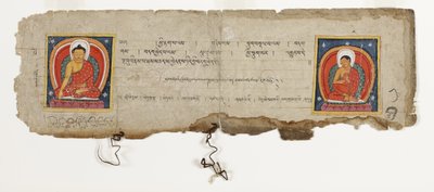 Stránka z buddhistického rukopisu, možná z Mahashitalanika, cca 1400 (neprůhledné wc a inkoust na papíře) od Nepalese School