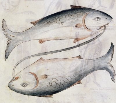 Sloane 3983 Kresba Ryb, z překladu perského astrologického pojednání od Džafara ibn Muhammada (vellum) od Netherlandish School