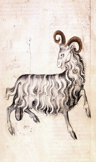 Sloane 3983 f3v Znamení zvěrokruhu Kozoroh (vellum) od Netherlandish School