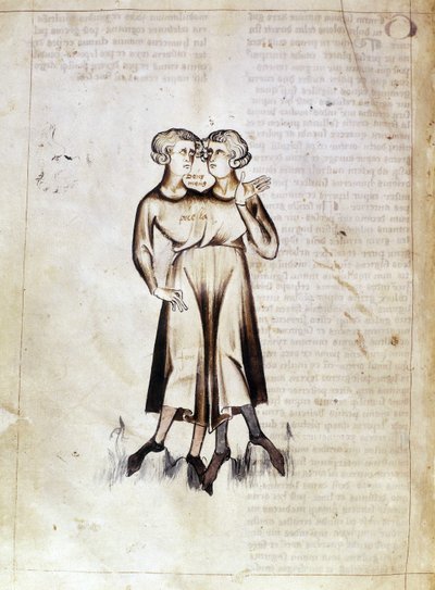 Sloane 3983 f.8v Kresba Gemini, z překladu perského astrologického pojednání od Džafara ibn Muhammada (vellum) od Netherlandish School