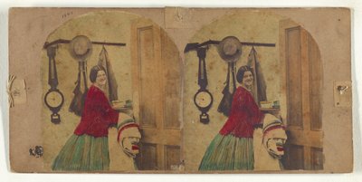 Dobré na nachlazení. od New York Stereoscopic Company