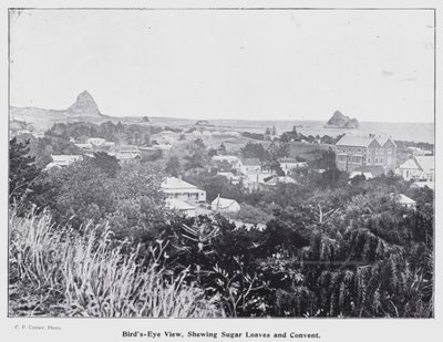 New Plymouth, Nový Zéland: Pohled z ptačí perspektivy, vystavování cukrových homolí a klášter (černobílá fotografie) od New Zealand Photographer
