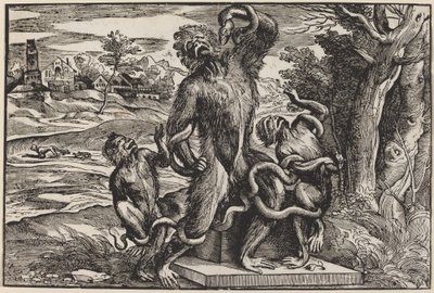 Karikatura skupiny Laocoon od Niccolò Boldrini after Titian