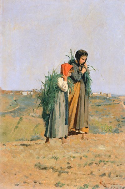Erbaiole od Niccolo Cannicci