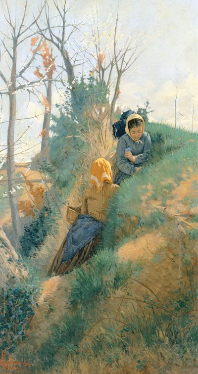 Jaro od Niccolo Cannicci