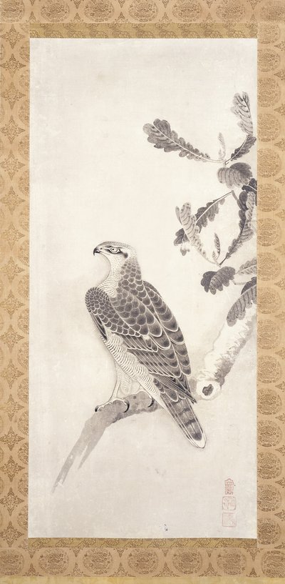 Hawk posazený na větvi (inkoust na papíře) od Nichokuan Soga