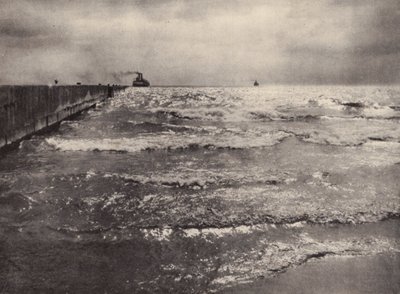 Léto, jezero Ontario (č/b fotografie) od Nichol Elliot