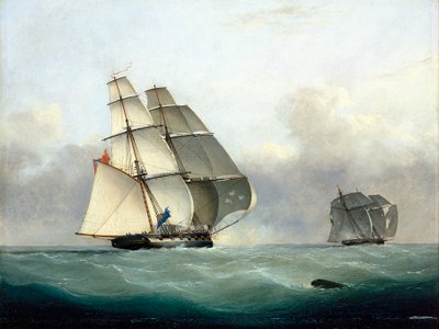 Zajetí otrokáře "Gabriel" lodí HMS "Acorn", 6. července 1841 od Nicholas Matthews Condy