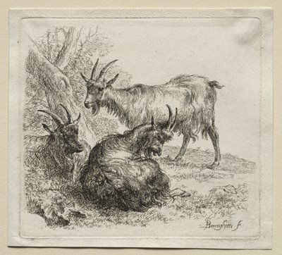 Animalia: Tři kozy od Nicolaes Berchem