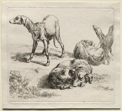 Animalia: Tři lovečtí psi od Nicolaes Berchem