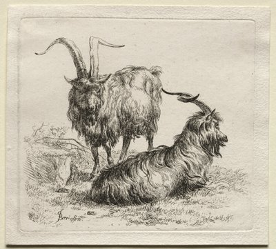 Animalia: Dvě kozy od Nicolaes Berchem