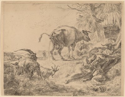 Cow Pissing. od Nicolaes Berchem