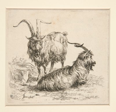 Kozy (od od Nicolaes Berchem