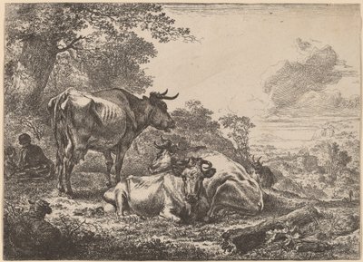 Odpočívající krávy. od Nicolaes Berchem