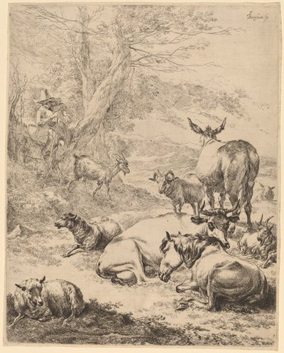 Odpočívající stádo. od Nicolaes Berchem