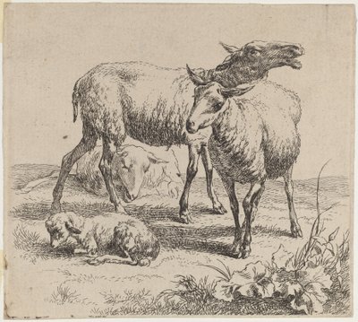 Tři ovečky a jehně. od Nicolaes Berchem