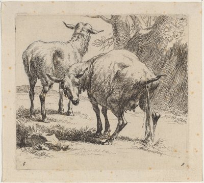 Dvě ovce, jedna čůrání. od Nicolaes Berchem