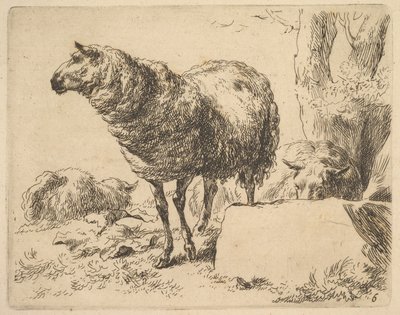 ze Souboru ovcí. od Nicolaes Berchem