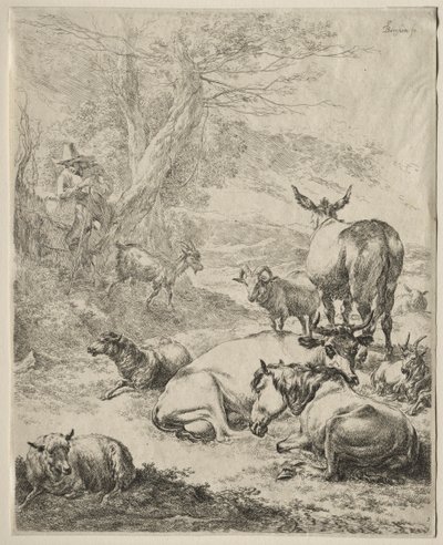 Zvířata v klidu. od Nicolaes Pietersz. Berchem