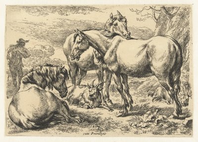 Tři koně Zvířata (název seriálu) od Nicolaes Pietersz Berchem