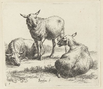 Osušte ovce Schapen (název série) Zvířata oživená a vytištěná vodou pro silný vzduch od Studio and Art of Nicolai Berchem (název série) od Nicolaes Pietersz Berchem