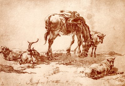 Pastviny s osly, kozy a ovce od Nicolaes Pietersz. Berchem