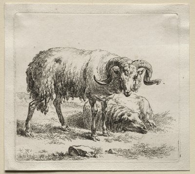 Beran a ovce. od Nicolaes Pietersz. Berchem