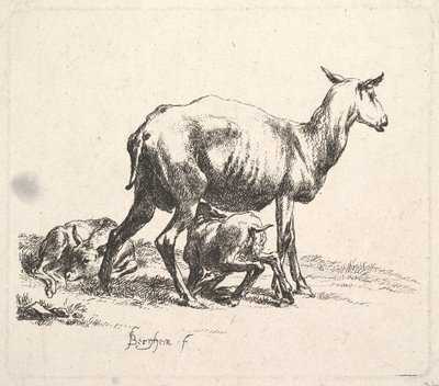 Ovce s ošetřováním jehňat. od Nicolaes Pietersz. Berchem