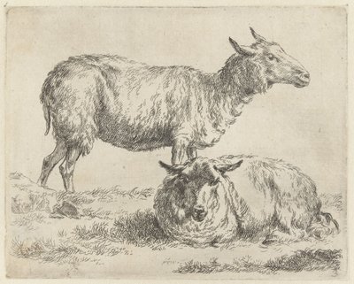 Staand en liggend schaap Schapen (název série) Zvířata oživená a vytištěná vodou pro silný vzduch od Studio and Art of Nicolai Berchem (název série) od Nicolaes Pietersz Berchem