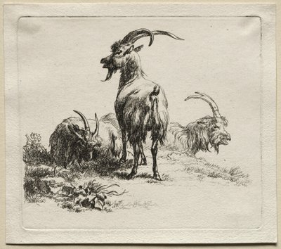 Tři kozy. od Nicolaes Pietersz. Berchem