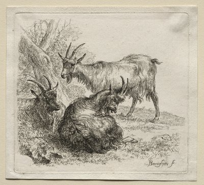 Tři kozy. od Nicolaes Pietersz. Berchem