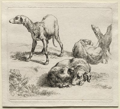 Tři lovečtí psi. od Nicolaes Pietersz. Berchem