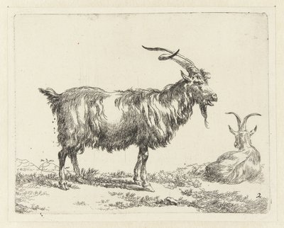 Dvě kozy Geiten (název série) Zvířata přitažená k životu a vytištěná ve vodě silným vzduchem Studio and Art of Nicolai Berchem (název série) od Nicolaes Pietersz Berchem