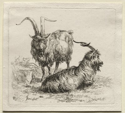 Dvě kozy. od Nicolaes Pietersz. Berchem