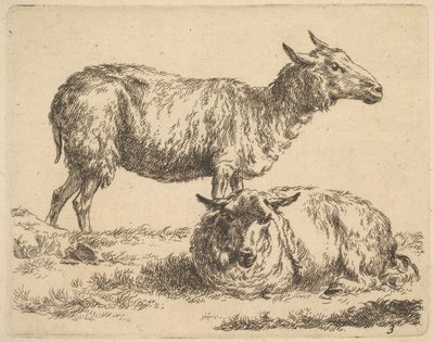 ze Souboru ovcí. od Nicolaes Pietersz. Berchem