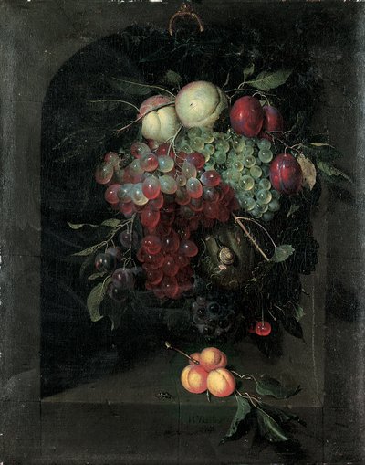 Slupka hroznů, broskví, švestek a třešní se šnekem v kamenném výklenku s trsem meruněk a včelou na římse, 1666 od Nicolaes Van Gelder