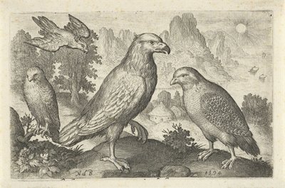 Orel a další draví ptáci Ptáci a hmyz (název série) od Nicolaes de Bruyn