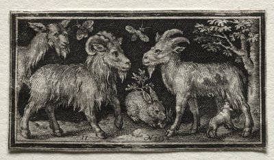 Kozy a zajíc od Nicolaes de Bruyn