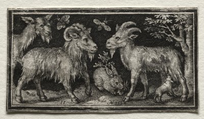 Kozy a zajíc, 1594. od Nicolaes de Bruyn