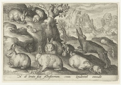 Králíci, veverka, morče a myš Animalivm qvadrvpedvm (název série) Zvířata v krajině (název série) od Nicolaes de Bruyn