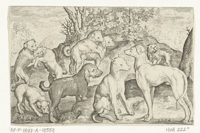 Devět psů Animalivm qvadrvpedvm (název série) Zvířata v krajině (název série) od Nicolaes de Bruyn