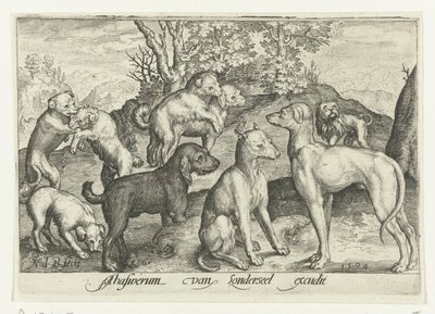 Devět psů Animalivm qvadrvpedvm (název série) Zvířata v krajině (název série) od Nicolaes de Bruyn