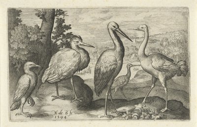 Čáp, jeřáb, volavka a kolpík Ptáci a hmyz (název série) od Nicolaes de Bruyn