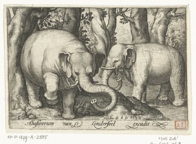 Dva sloni Animalivm qvadrvpedvm (název série) Zvířata v krajině (název série) od Nicolaes de Bruyn