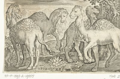Čtyři dromedáři Animalivm qvadrvpedvm (název série) Zvířata v krajině (název série) od Nicolaes de Bruyn