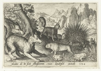 Divočák, lišky, bobr, dikobraz a žáby Animalivm qvadrvpedvm (název série) Zvířata v krajině (název série) od Nicolaes de Bruyn