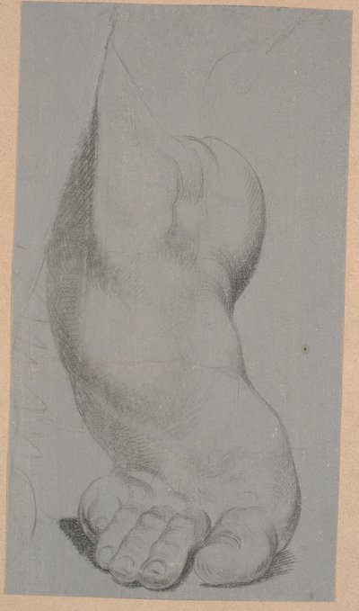 Studie nohy od Nicolai Abildgaard