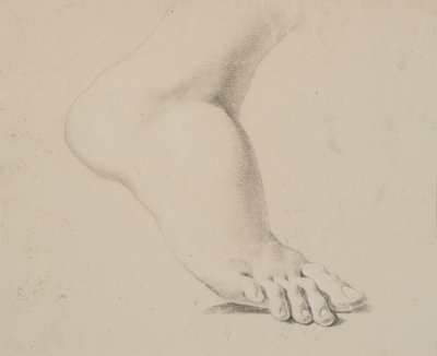 Studie nohy od Nicolai Abildgaard
